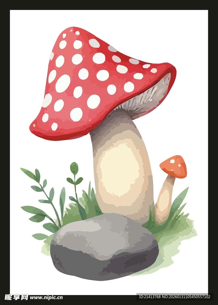 水彩风蘑菇插画