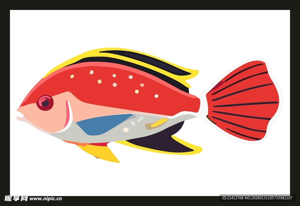 条纹热带鱼插画