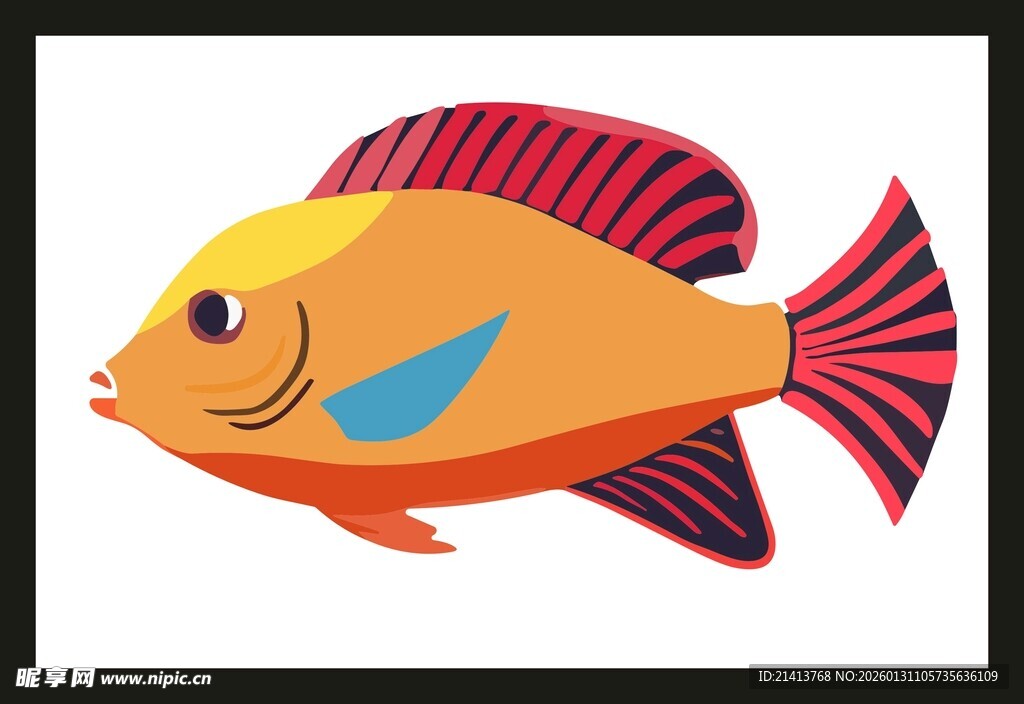 红色条纹鱼插画