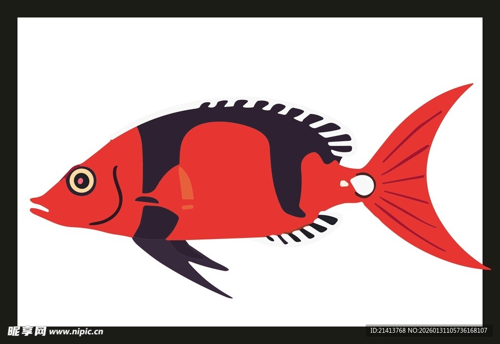 多彩条纹热带鱼插画