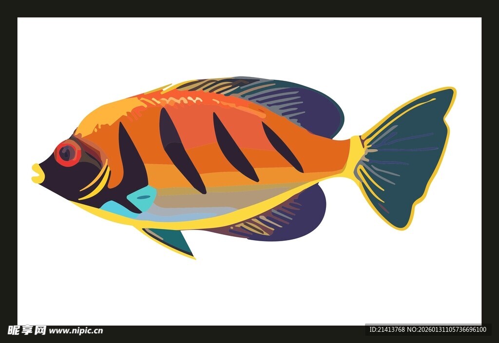 彩色热带鱼插画