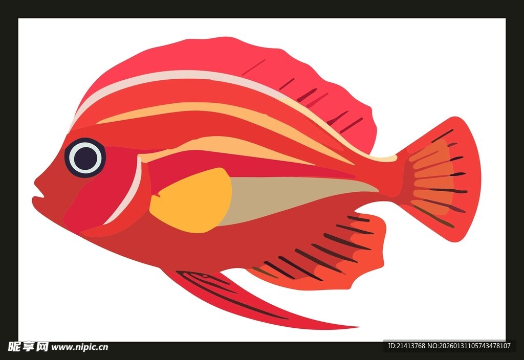 红色条纹热带鱼插画