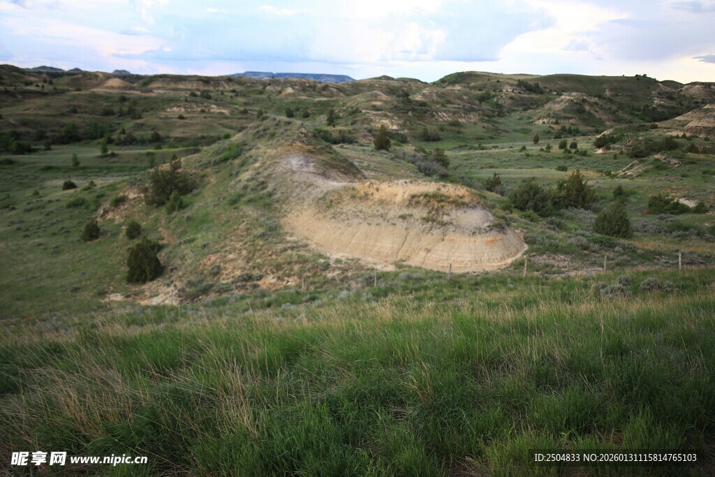 广袤原野上的自然景致