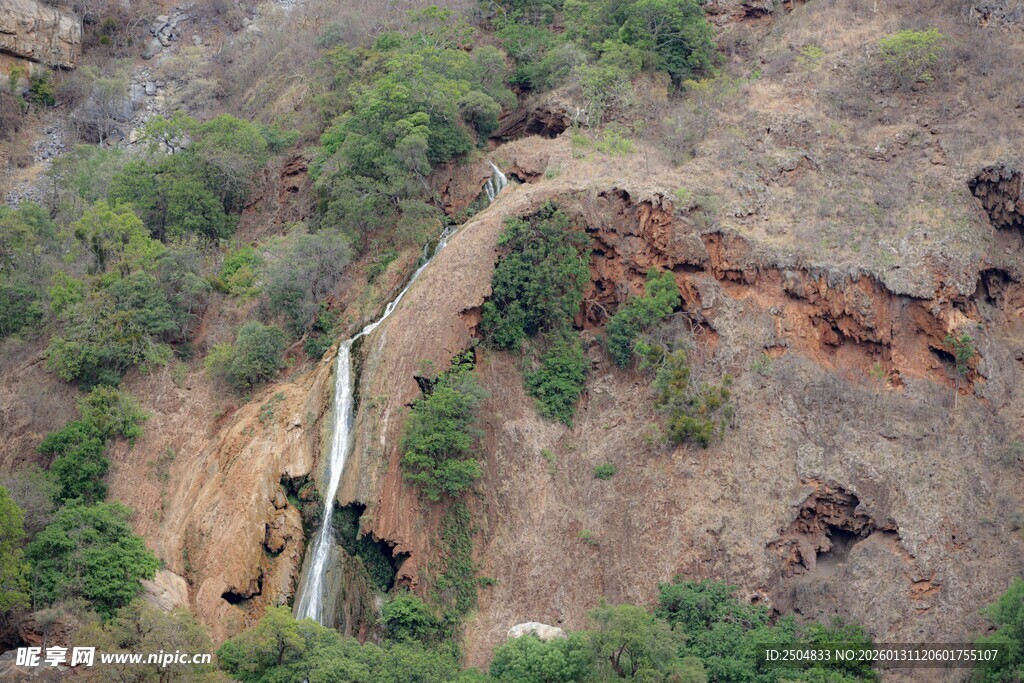 山间瀑布旁的野生动物群