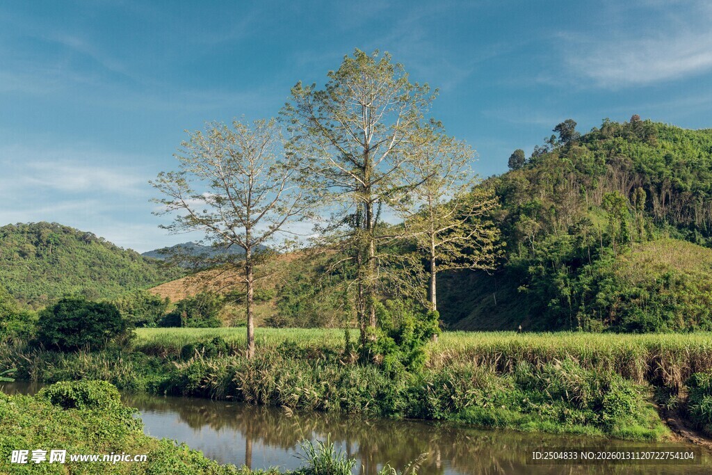 乡村河畔自然风光美景
