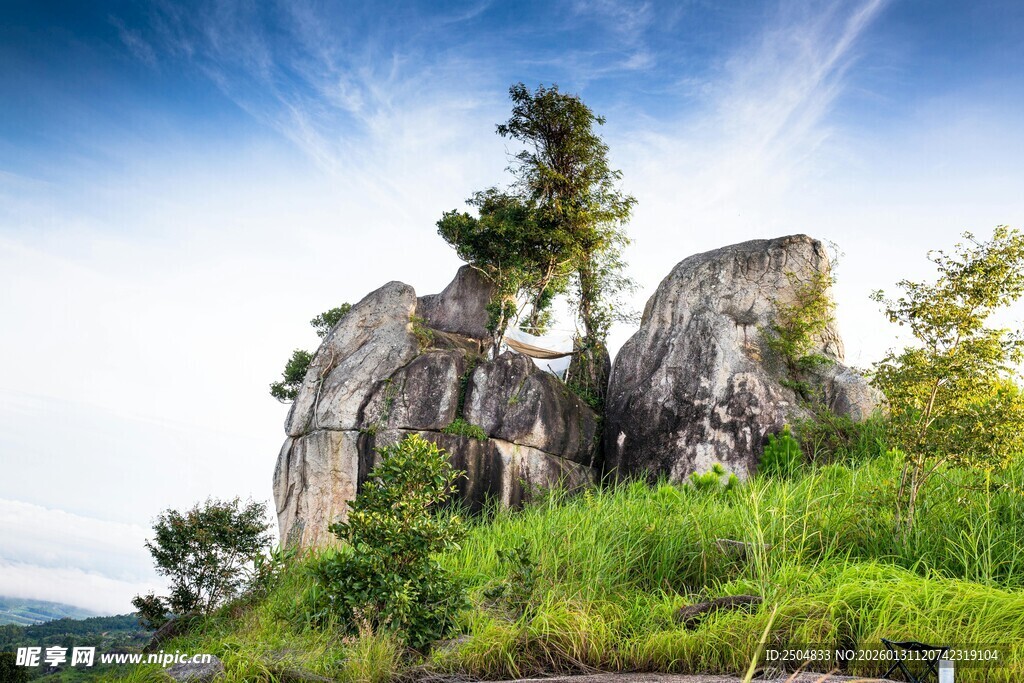 峻峭山石旁的葱郁绿植