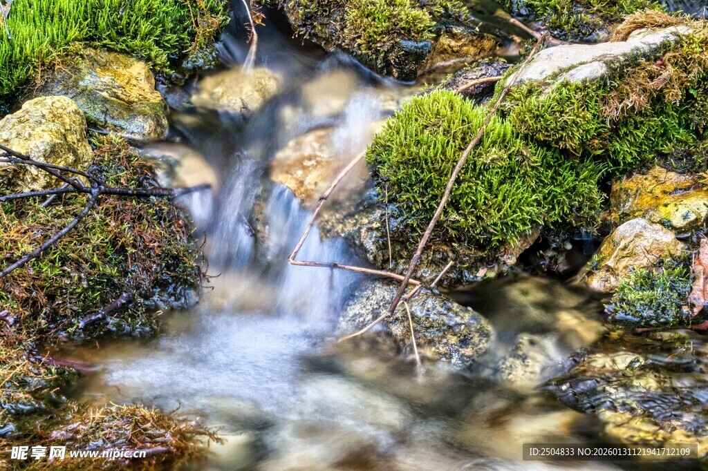 山间潺潺溪流与苔藓