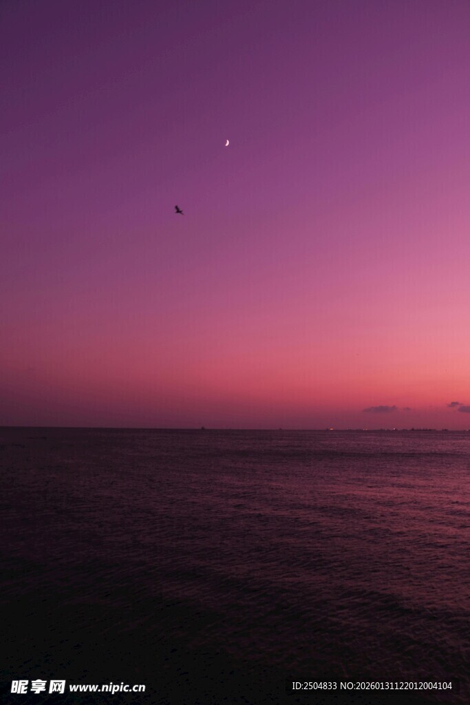 紫色晚霞下的静谧海面