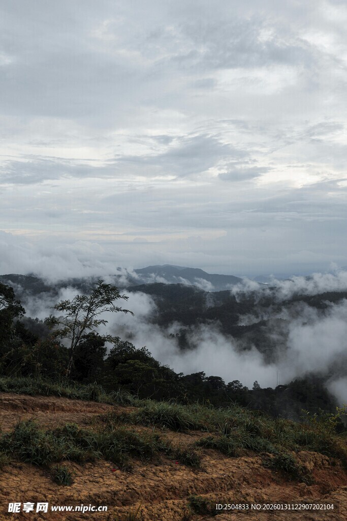 山间云雾缭绕的壮美景观