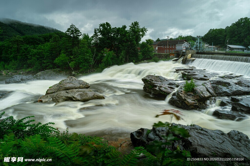 湍急溪流穿林而过
