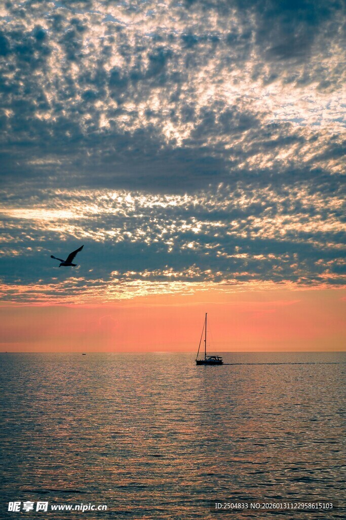 海上日落帆船飞鸟美景