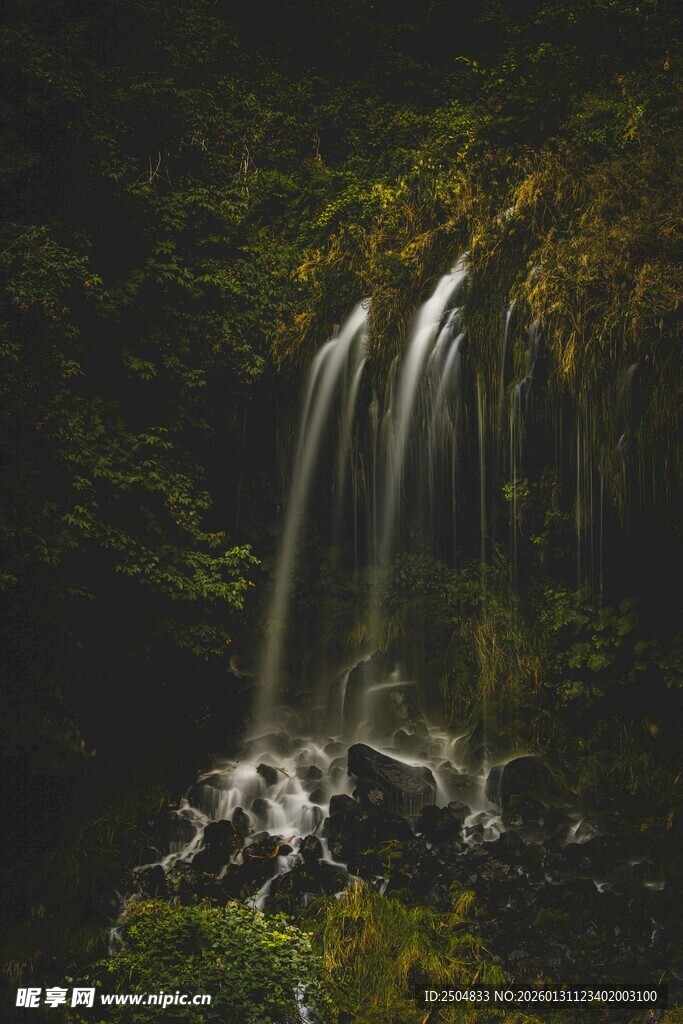 森林中的美丽瀑布景观