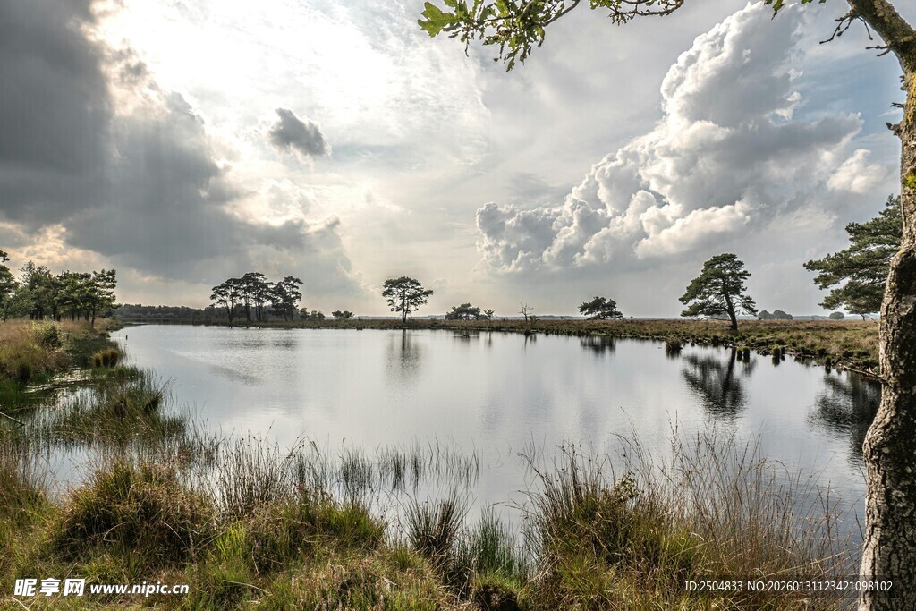 宁静湖畔自然风光美景