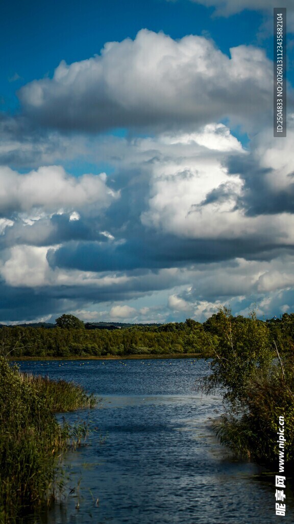 河畔蓝天绿树风景图