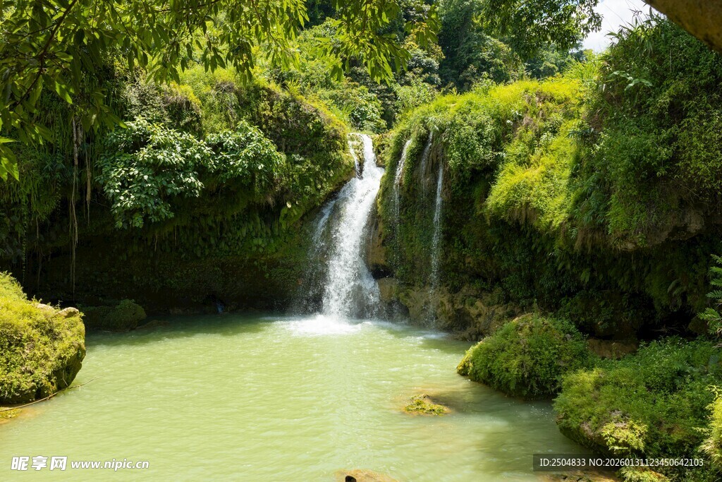 雨林中的清幽瀑布景观
