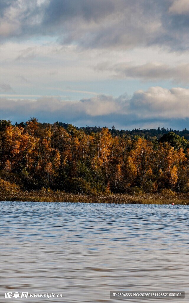 湖畔秋景 绚烂树林映碧水