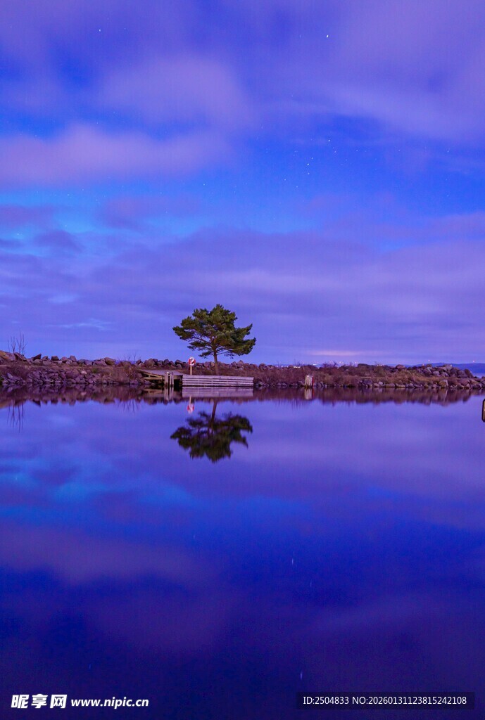 静谧湖面孤树倒影美景