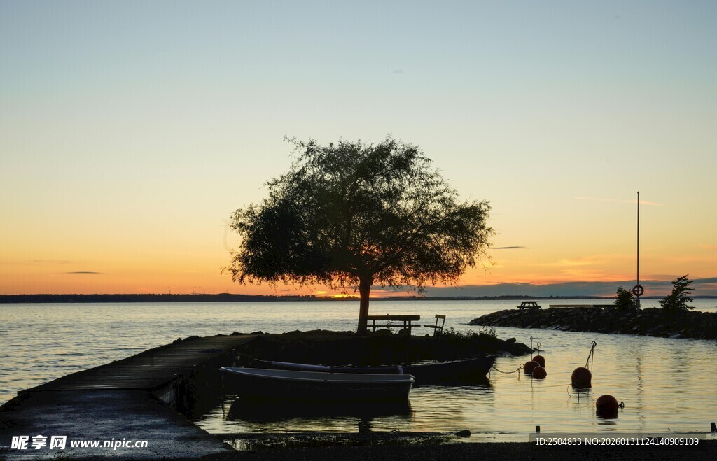 夕阳下孤树静立水边