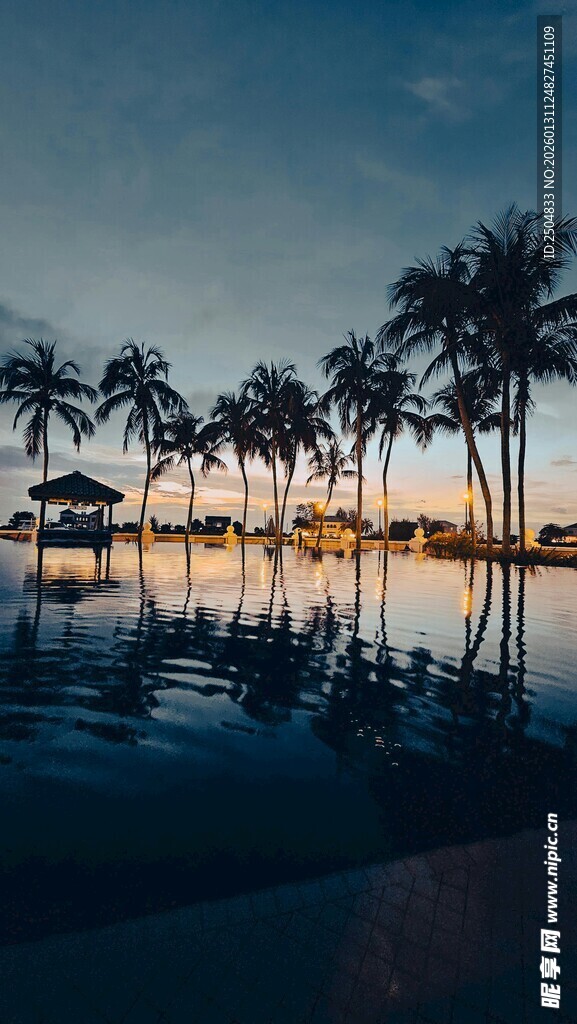 黄昏下的泳池与棕榈树