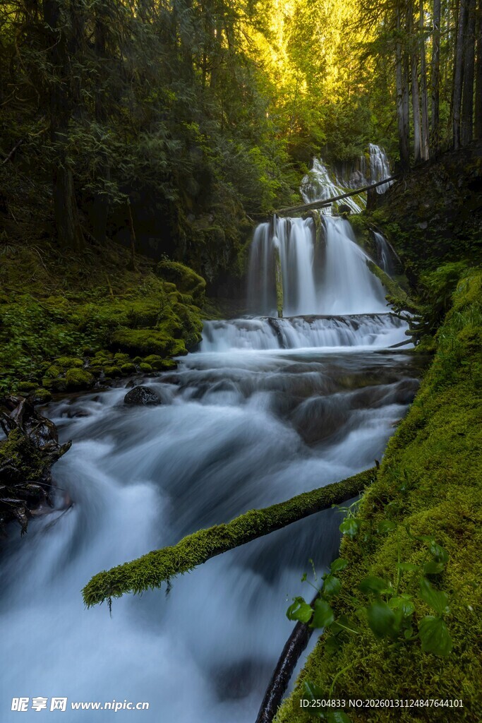 森林中的潺潺瀑布美景