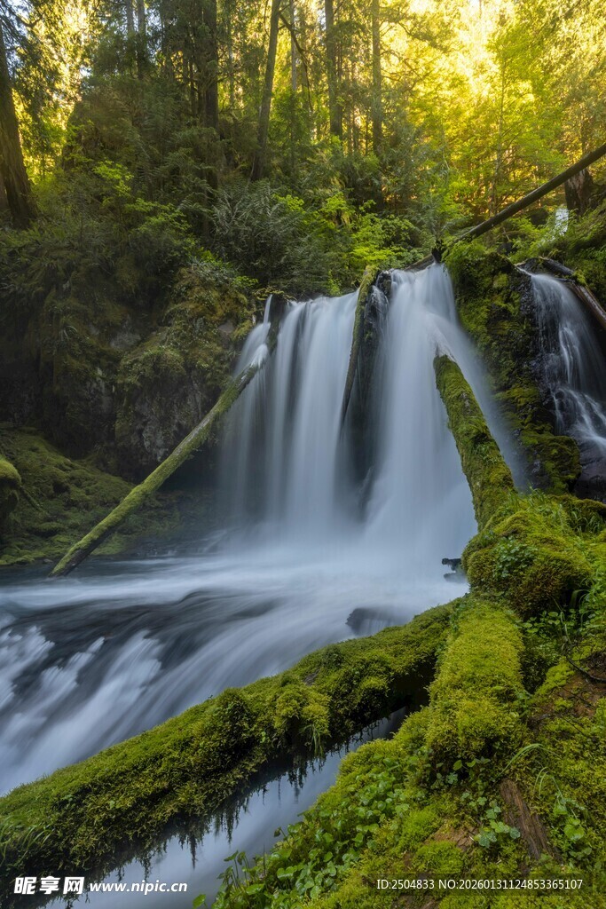森林中的梦幻瀑布景观