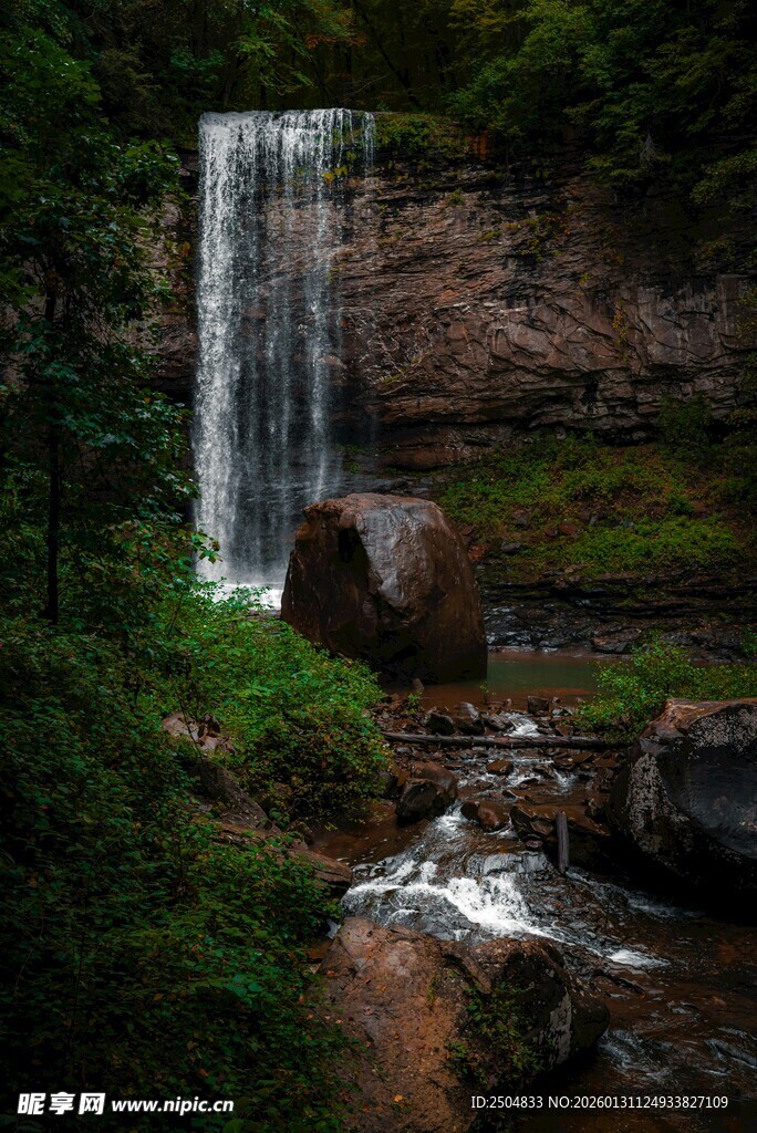 森林中的壮丽瀑布景观