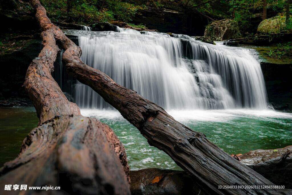 溪边枯木旁的秀丽瀑布