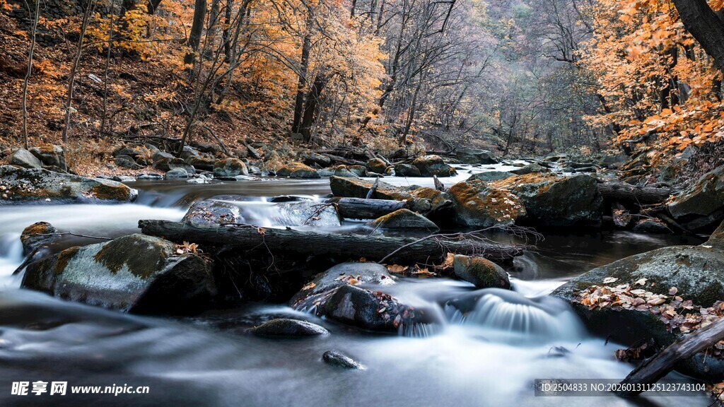 秋日溪流 山林间的灵动之景