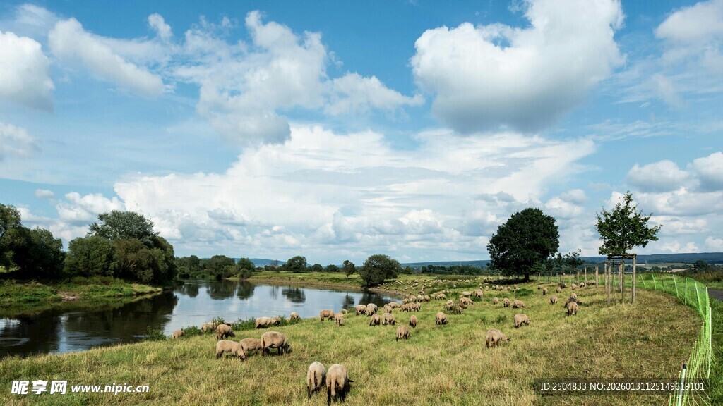 田园牧场景色如画