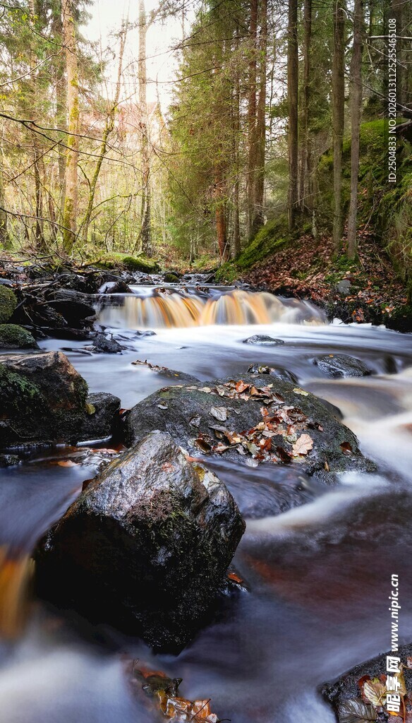 林间溪流潺潺 自然美景