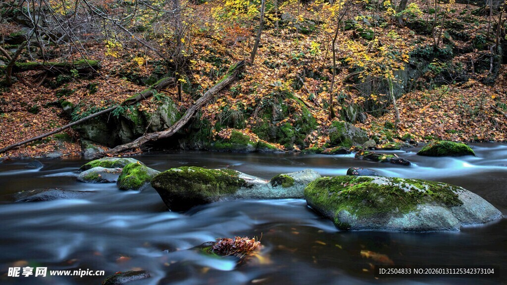 山间溪流秋景图