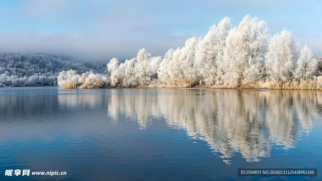 冬日湖岸雾凇美景