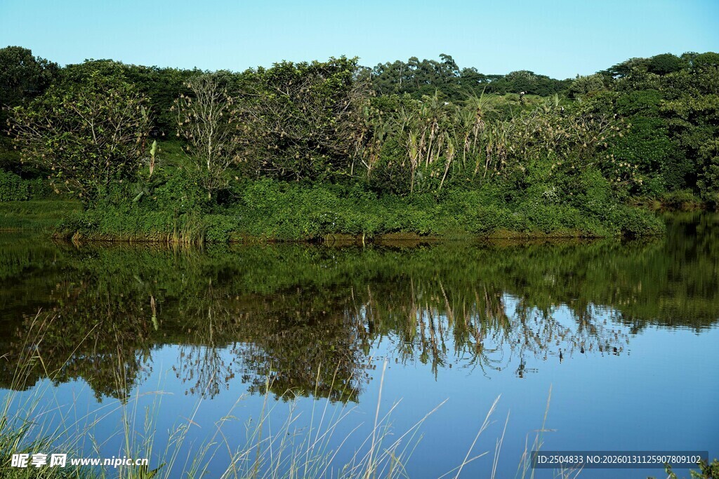 宁静湖畔的自然景致