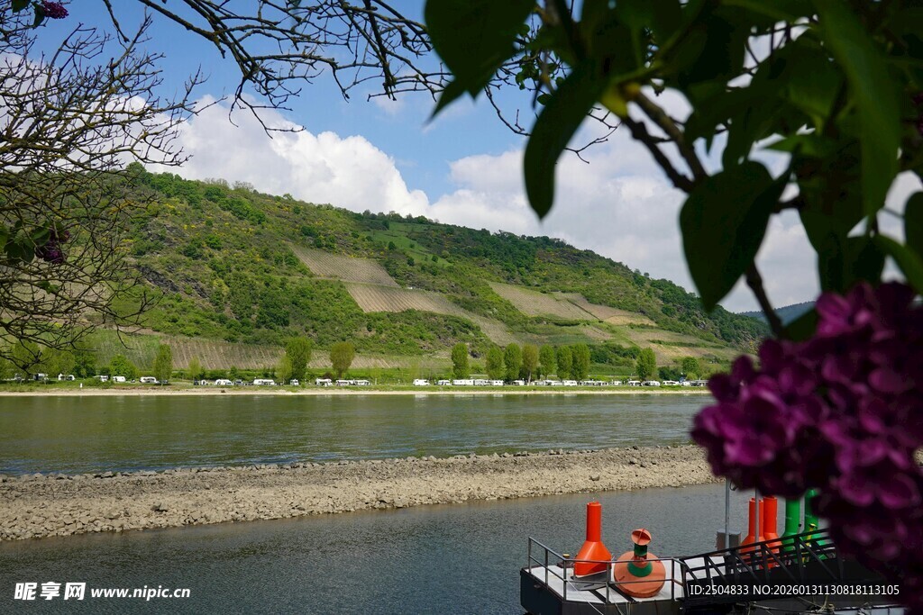 河畔美景 繁花与船只相伴