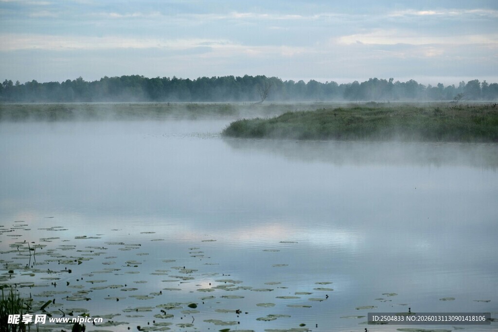 晨雾中的宁静湖泊