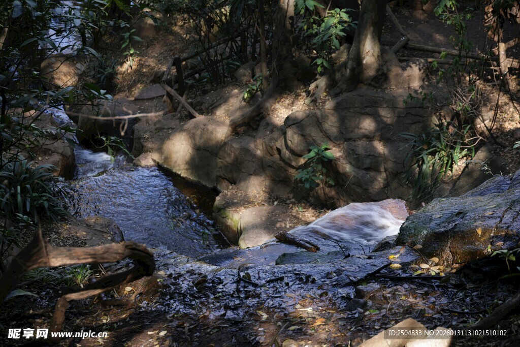 山间溪流潺潺流淌