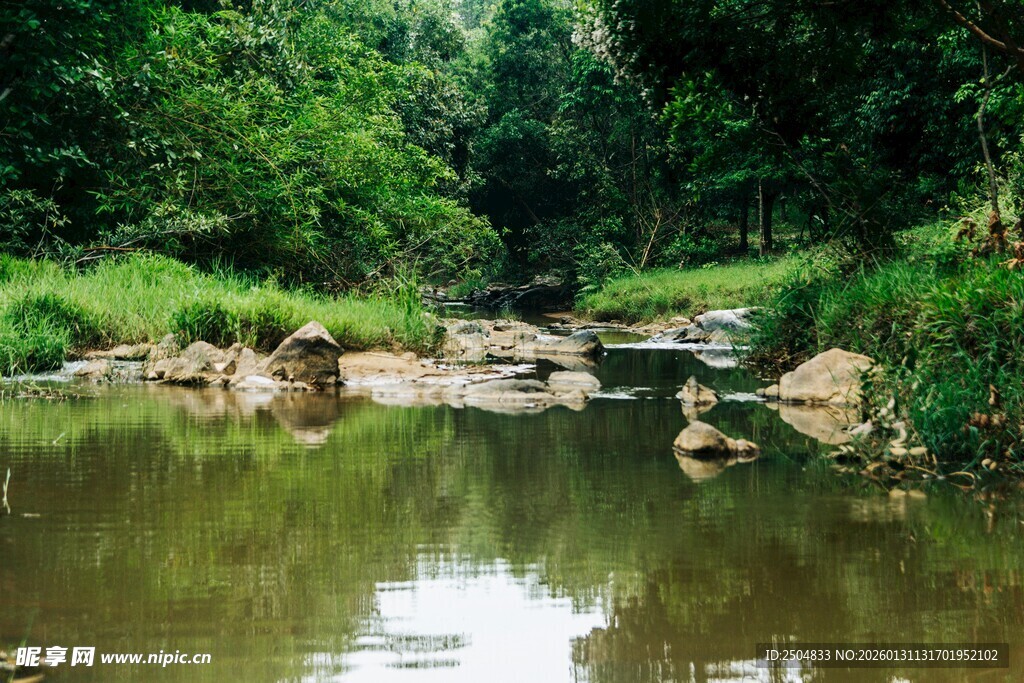 山间溪流 绿意环绕的美景