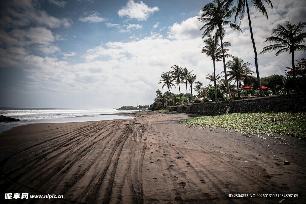 热带海滩风光 棕榈树摇曳