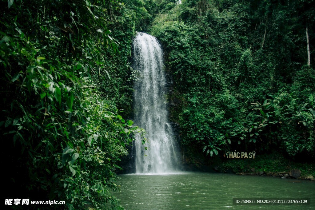 森林中的美丽瀑布景观