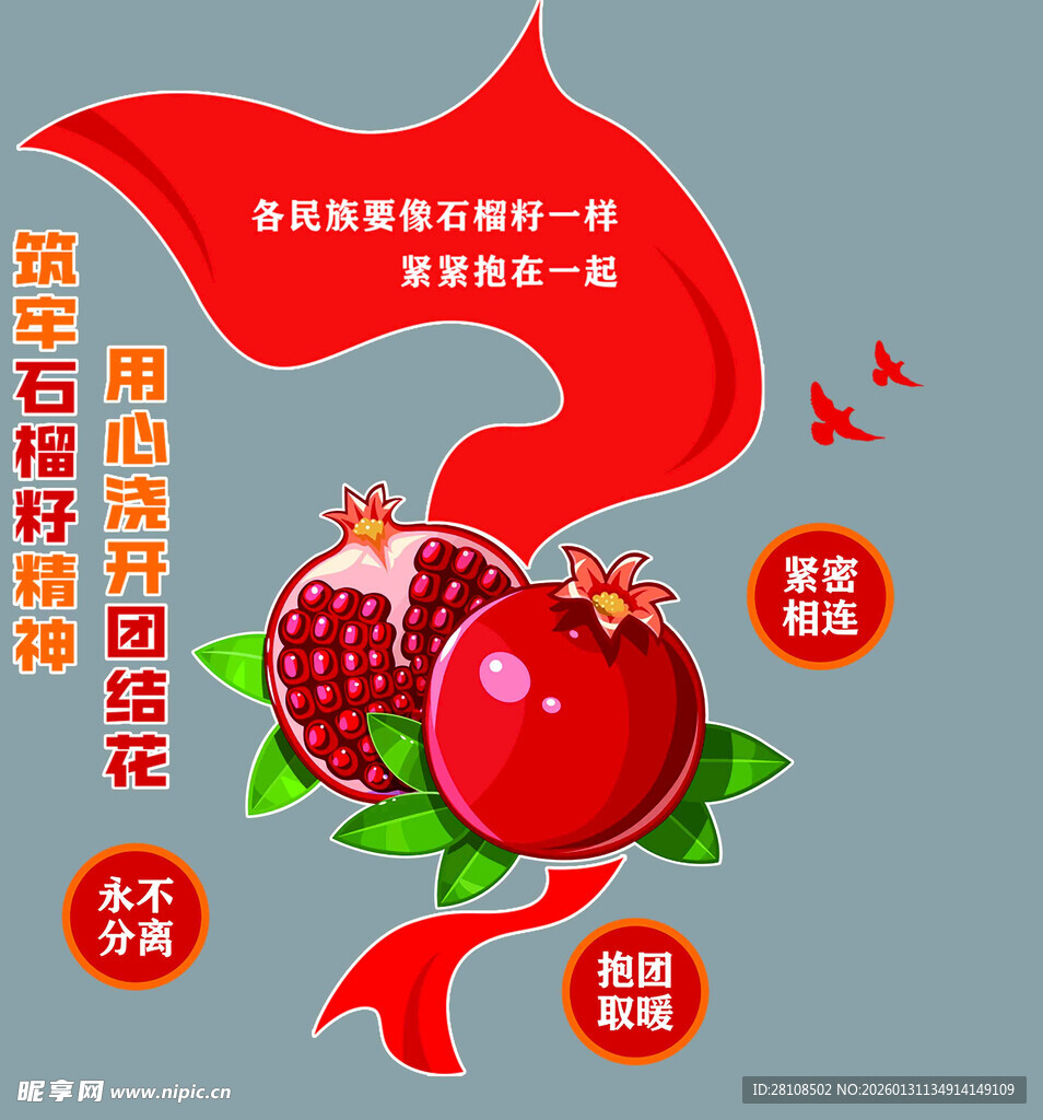 石榴籽抱团结 共筑中国梦