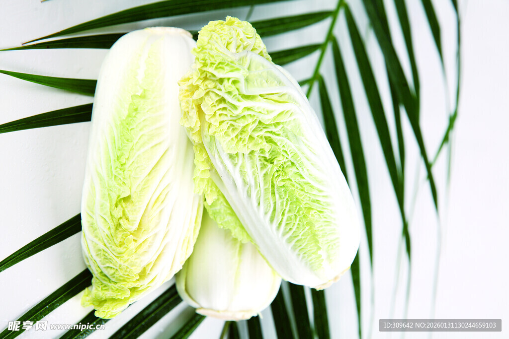 新鲜生菜与绿叶背景搭配