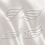 水晶玻璃翅膀装饰图案