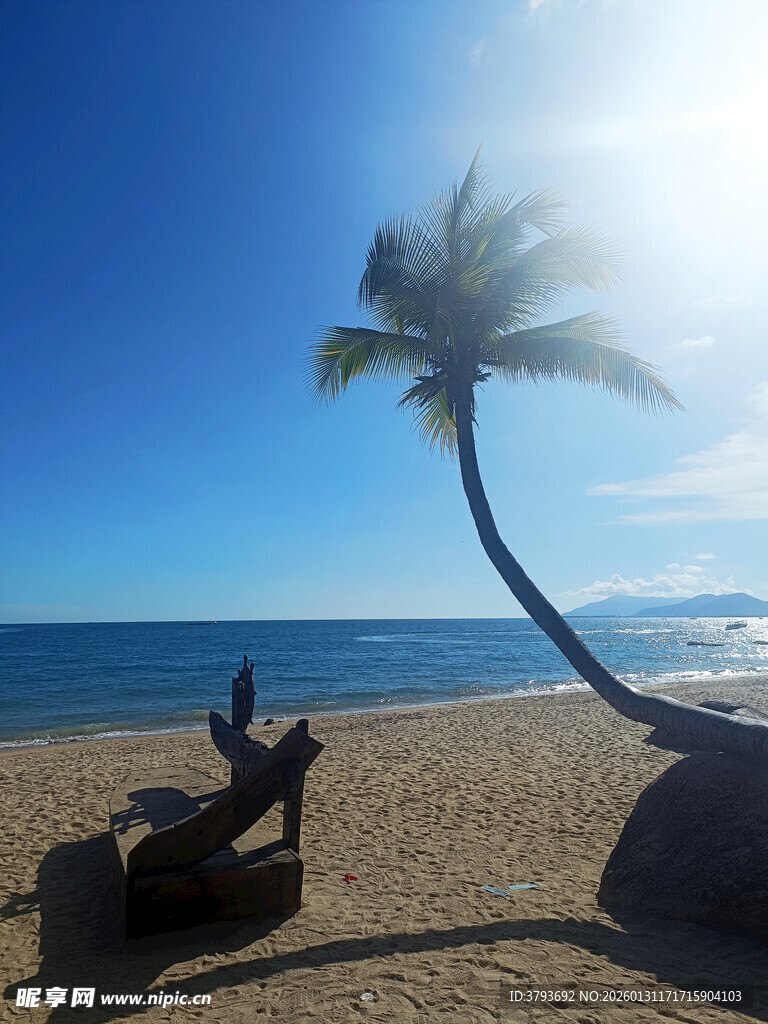 海边椰树下的惬意休闲时光