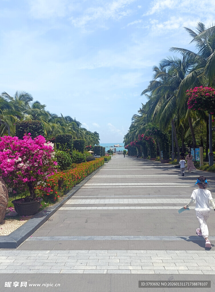 海滨步道上的烂漫风光