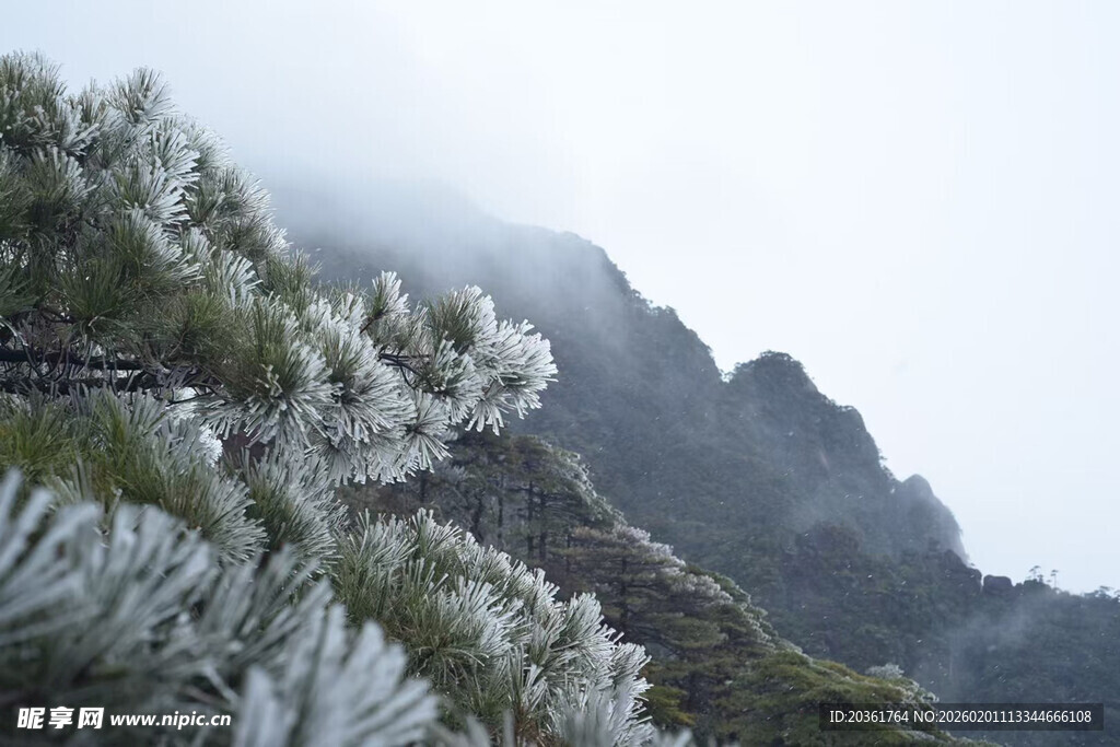 云雾缭绕的山间植被景观