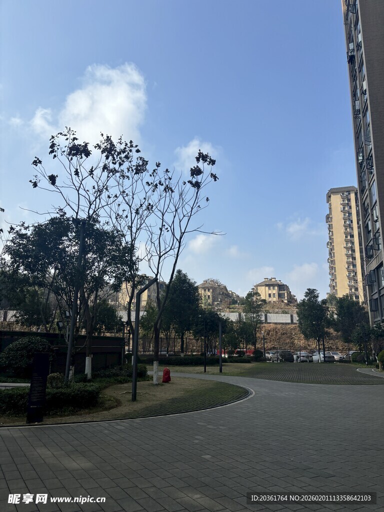 城市中的静谧街道景观