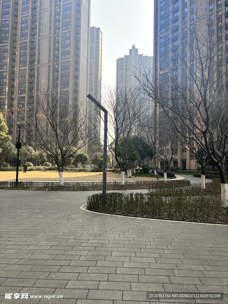 城市中的开阔广场景观