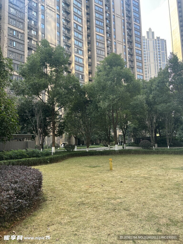 城市中的绿地与高楼景观