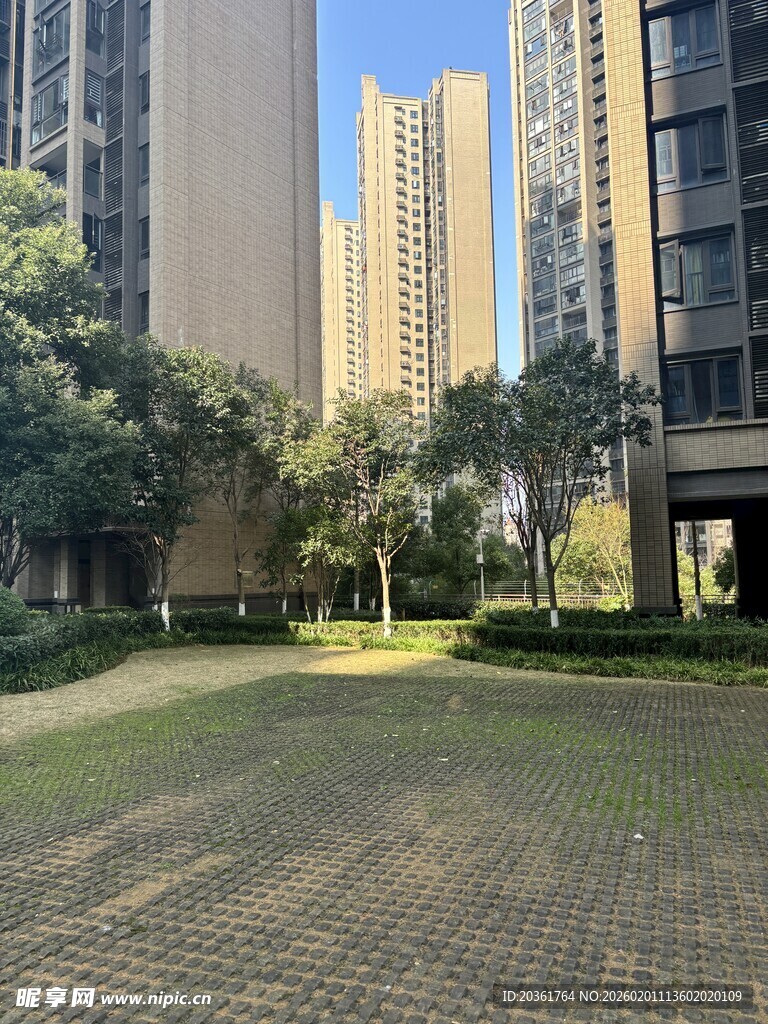 城市住宅区的开阔绿地