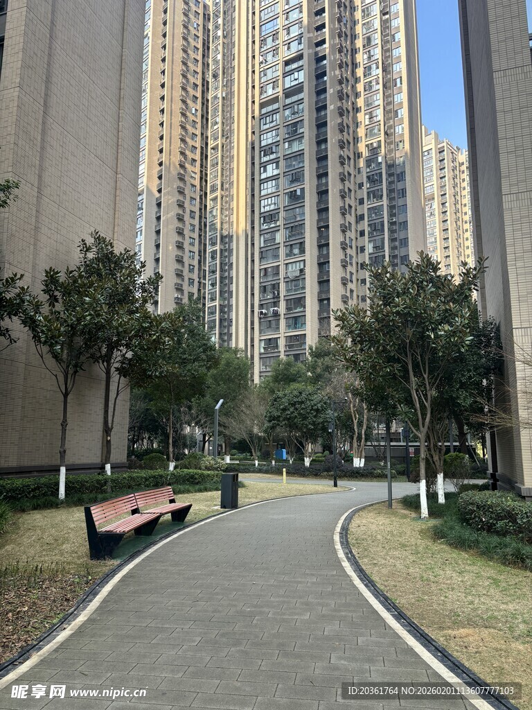 城市小区内的静谧林荫小道